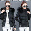 Thicken Big Fur Collar Plus Size Fat Sister Cotton-padded Coat